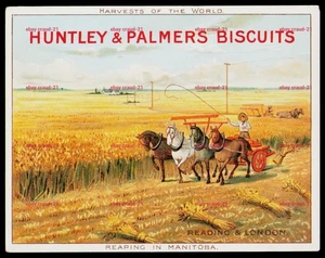 HUNTLEY & PALMERS Trade Card REAPING MANITOBA Harvests of the World Advt 11x9cm - Picture 1 of 2