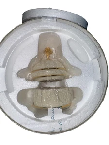 NWT LENOX Trinket Birthstone Box Collection January Carnation Handmade Gift - Picture 1 of 4