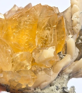 +++ CALCITE IN FOSSILIZED CLAM SHELL RUCK'S PIT, FT. DRUM, FLORIDA +++ - Picture 1 of 8