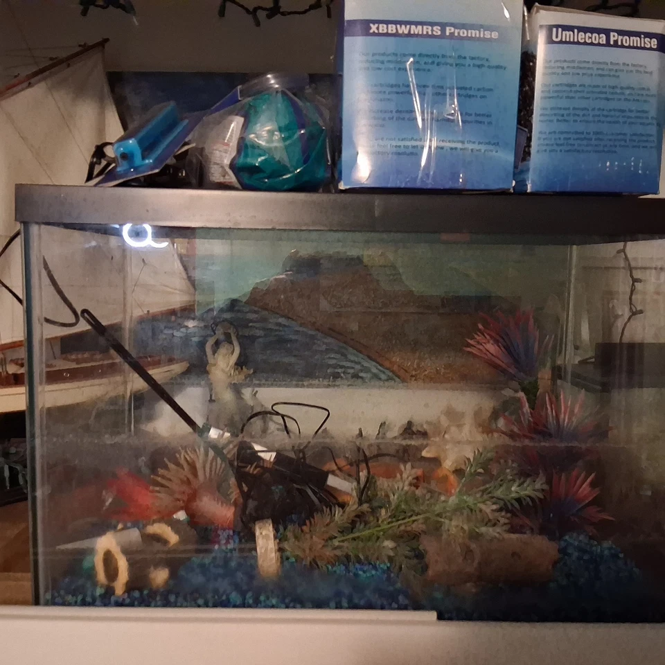 40 Gallon Aquarium For Sale. Tank Comes With  Everything. - Image 1 of 3