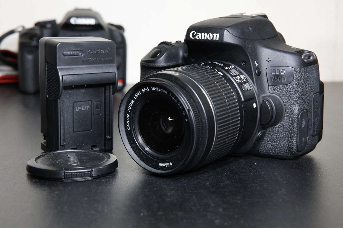 Canon EOS 750D Digital SLR Cameras for Sale | Shop New & Used