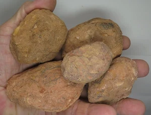 Yowah Nut Opal Rough 850gm 5 x Small / Medium Unopened Whole Nuts - Picture 1 of 4