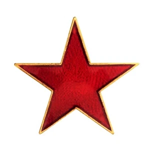 Red Star Small Pin Badge For Schools - Picture 1 of 3
