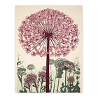 Allium Flower Blooms Painting Pink Green Wildflower Spring Wall Art Poster Print