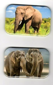 ELEPHANT   2  REFRIGERATOR MAGNET  2" X 3"  WITH ROUNDED CORNER - Picture 1 of 4