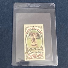 2019 Topps Allen & Ginter Mini Card Collectible Canines Great Dane CC-7