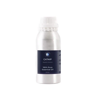 Mystic Moments Catnip Essential Oil - 100% Pure - 500g - Image 1 of 4