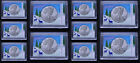 10 American Silver Eagle Frosty Case Snaplock Coin Holder 2X3 Deer Happy Holiday