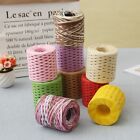 Soft and Smooth Raffia Yarn for Creative Crafts Packaging and Jewelry Making