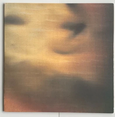 Vinyl New Order State Shame of the Nation 12" Played 1x Near Mint LP w/ VRP - Imagem 1 de 4