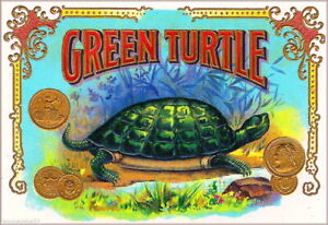 94312 1900 Green Turtle Cigar Box Tobacciana Wall Print Poster Plakat