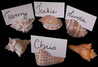 Tropical Wedding Decoration Seashell Name Card Holders