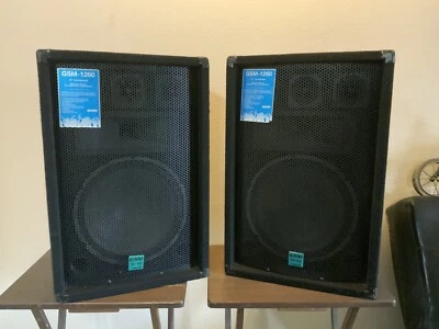 Gemini GSM-1260 - 12" Par Negro Foto 1 de 4