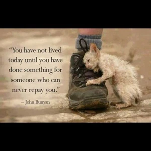 Motivational cat magnet 3 1/2 X 4 1/2 " - Picture 1 of 1