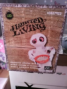 LED Halloween indoor decoration Brand New in box...Home Depot - Picture 1 of 2
