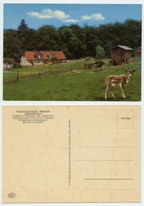 108872 - Waldgaststätte "Rinderstall" im Naturpark Münden - alte Ansichtskarte - Bild 1 von 1