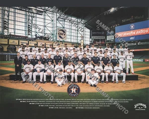 Houston Astros 2017 World Series Champions 8x10 Team Photo Picture - Picture 1 of 1