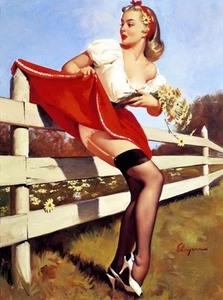 Don't Fence Me In - Pin-Up w. Skirt Stuck 8x10 Fabric Block - Buy 2, Get 1 FREE! - Picture 1 of 1