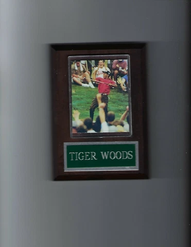 TIGER WOODS PLAQUE GOLF PGA Cover