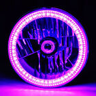  7" Halogen Motorcycle Purple SMD 45-LED Halo H4 Light Bulb Headlight For Harley
