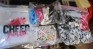 Cheerleader Gifts Kit Zipper Cheer Makeup Bag Silicon Bracelet Scrunchie 177 pcs - Picture 1 of 18