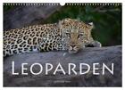 Robert Styppa | Leoparden - gro und klein (Wandkalender 2024 DIN A3 quer),...