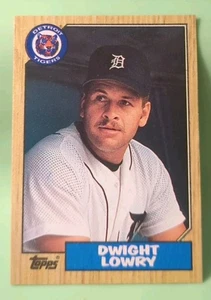 1987 Topps - Dwight Lowry #483 (RC) - Detroit Tigers  - Picture 1 of 2