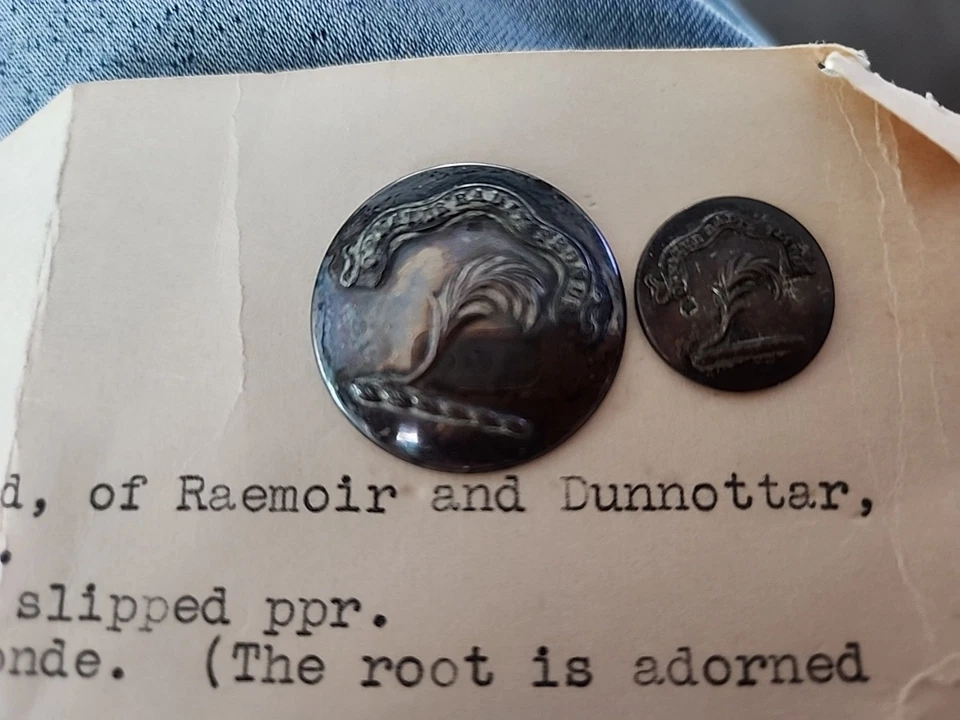 Antique Pewter? Metal Buttons Ornatur Radix Fronde Branch Of Palm - Image 1 of 4