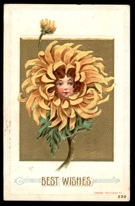 Postcard Flower Face with Best Wishes, Girl's Face in Chrysanthemum, Best Wishes - Picture 1 of 2