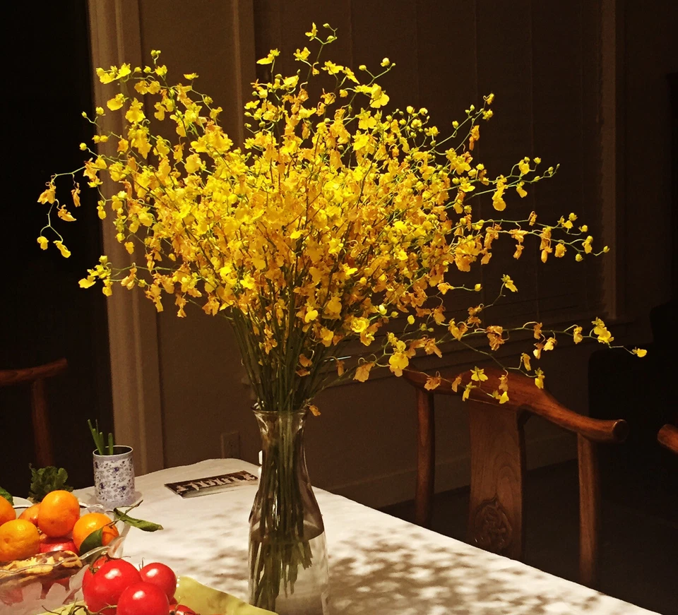 Exótico corte fresco oncidio danzante dama orquídeas 20 tallos con jarrón de vidrio en caja de regalo Foto 1 de 1