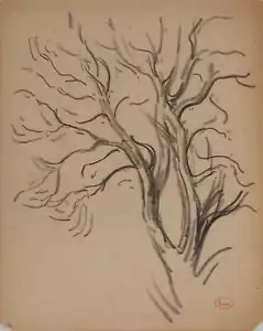 Maximilian LICHT: Zweigstudie, original signierte Zeichnung - Bild 1 von 5