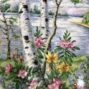 4 Speiseteller Royal Albert Silber Birke 26 cm Made in England   - Bild 1 von 12