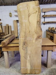 Spalted Beech Large Slab Live Edge Rustic Chunky Table Top 1730mm Long (S121) - Picture 1 of 6