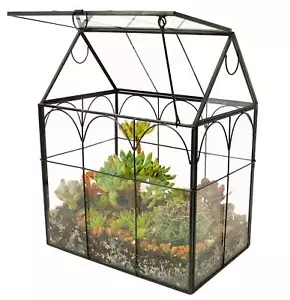 Glass Geometric Plant TerrariumSucculent & Air Planter for Home Garden Office... - Picture 1 of 7