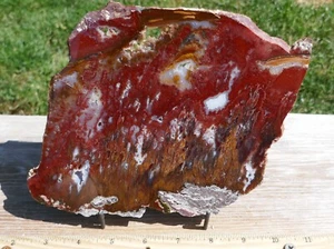 TCR SICAT AGATE/JASPER/LAPIDARY POLISHED SLAB 345 GRAMS - Picture 1 of 5