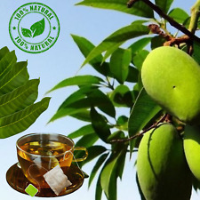 Mango Leaf tea bags 20pcs Organic Natural Herbal Tea 100% Pure Mangifera Indica