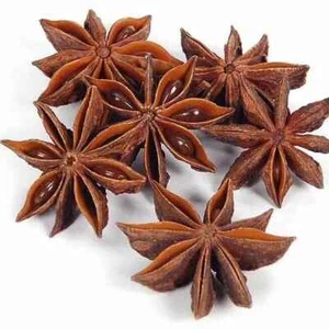 Spezie alle erbe biologiche indiane di alta qualità stella essiccata (100 gr) - Foto 1 di 7
