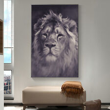 Art Silk Canvas Poster Lion Black White Animal Paint Wall Print Decor S792