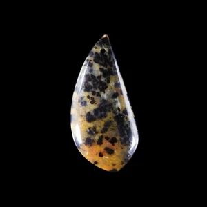 Petrified Wood Opal BEAD 51x24x6 mm HB306146 - Picture 1 of 4