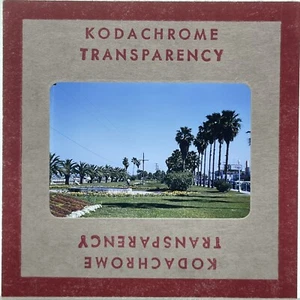 Kleinbilddia 50er Jahre rot Kodachrome Südflorida #7 - Bild 1 von 2