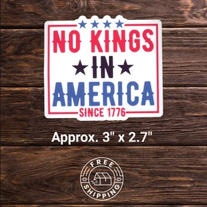 No Kings In America Vinyl Sticker Decal  Water Bottle Laptop etc.. No Kings - Bild 1 von 4