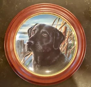 Franklin Mint Limited Edition Plate "Mans Best Friend " - Picture 1 of 4