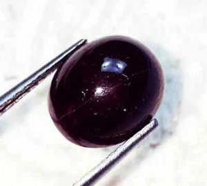 Unique Natural Brown Star Garnet 8.80 Ct Loose Gemstone Cabochon Shape Certified - Imagen 1 de 6