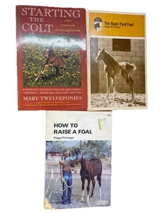 3 Books Horse Lovers Library, Back Yard Foal, Starting Colt, How To Raise A Foal - Imagen 1 de 8