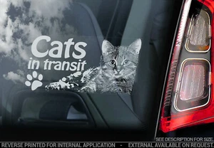 Gatti IN Transito Auto Adesivo, Finestra Paraurti Calcomania Insegna Lover Gift - Picture 1 of 1
