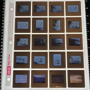 Lote de 200 diapositivas de color de menor calidad de 35 mm de colección WA Pacific NW aves paisajes - Imagen 1 de 20
