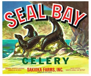 ALTE KISTE ETIKETT SEAL BAY HARBOR VINTAGE SANTA ANA JAPANISCHES GEMÜSE CAMARILLO - Bild 1 von 1