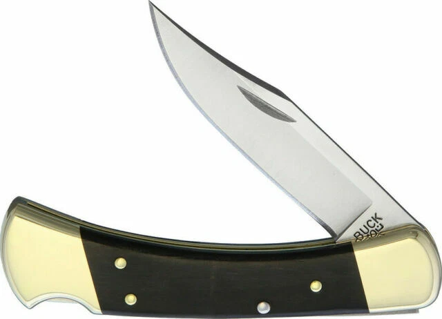 Buck Knives 0110BRS Folding Hunting Knife