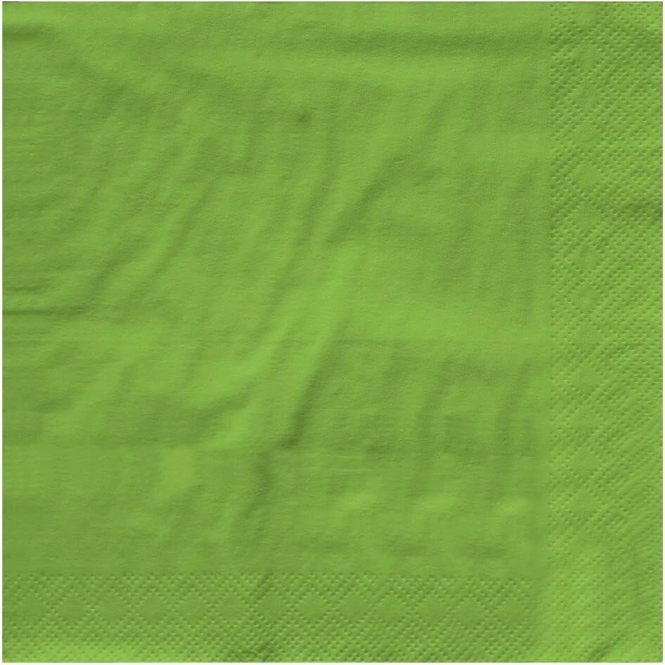 Creative Converting Touch of Color 2-Ply 50 Count Paper Lunch Napkins Fresh Lime - Image 1 of 1