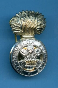 Royal Welch Fusiliers Anodised  Cap Badge - Picture 1 of 2